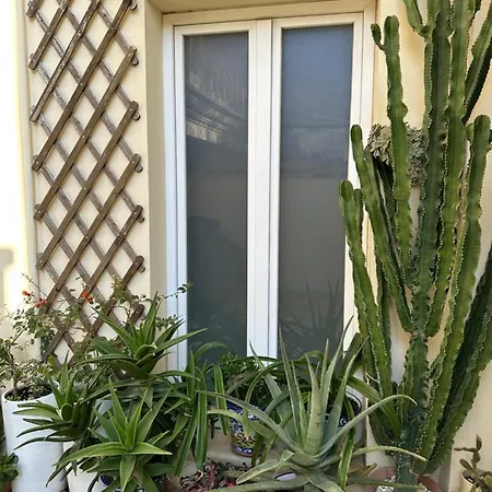 Charming With Baroque View - Apartmán Lecce