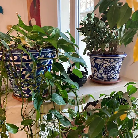 アパート Charming With Baroque View - *