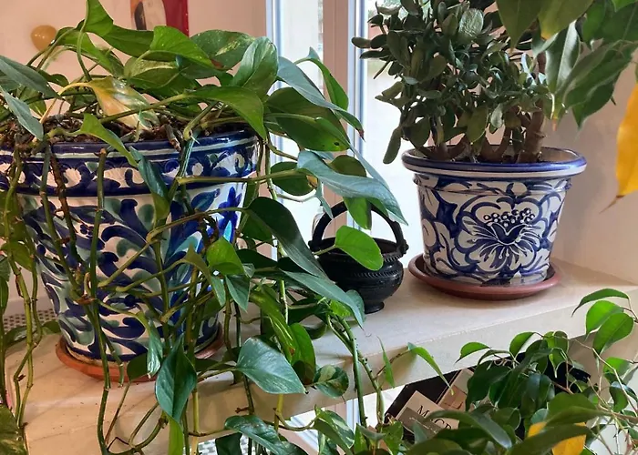 アパート Charming With Baroque View - *